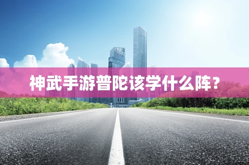 神武手游普陀该学什么阵？