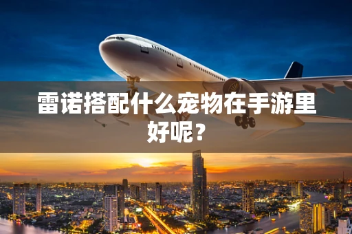 雷诺搭配什么宠物在手游里好呢？