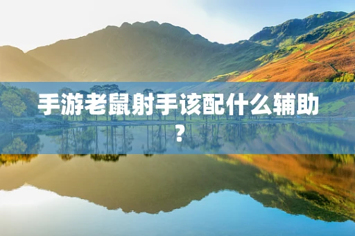手游老鼠射手该配什么辅助？