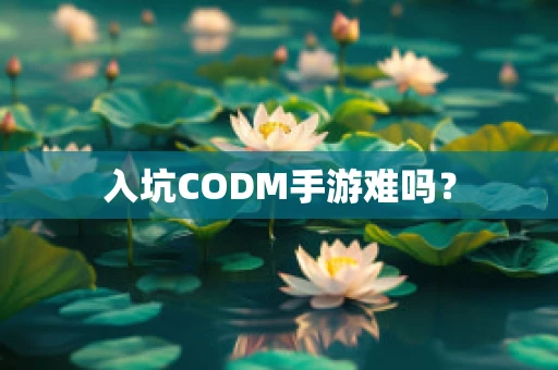 入坑CODM手游难吗？