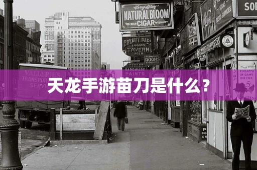 天龙手游苗刀是什么？