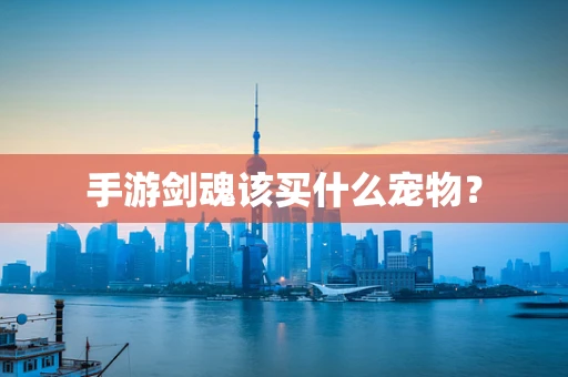 手游剑魂该买什么宠物？