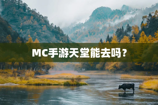 MC手游天堂能去吗？