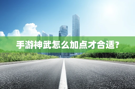 手游神武怎么加点才合适？