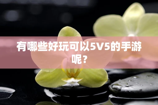 有哪些好玩可以5V5的手游呢？