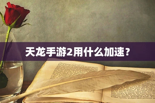 天龙手游2用什么加速？