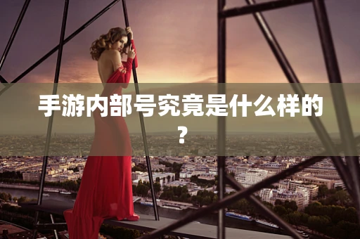 手游内部号究竟是什么样的？