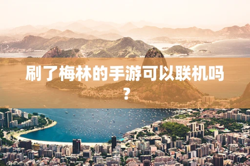 刷了梅林的手游可以联机吗？