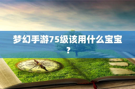 梦幻手游75级该用什么宝宝？