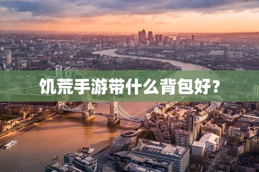 饥荒手游带什么背包好？