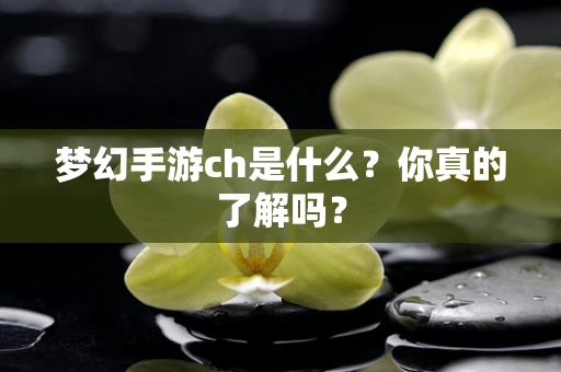 梦幻手游ch是什么？你真的了解吗？