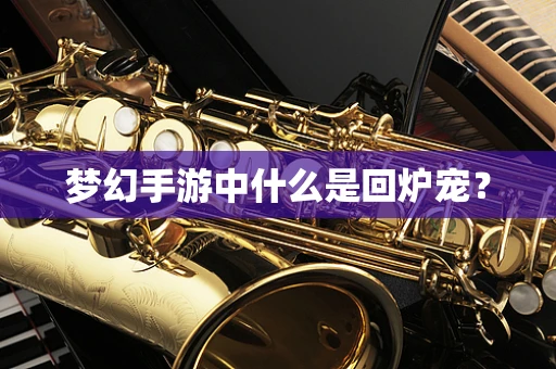 梦幻手游中什么是回炉宠？