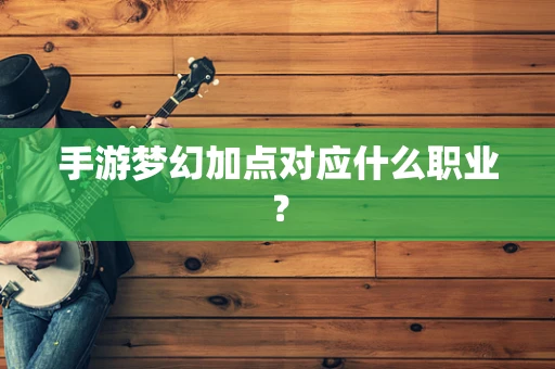 手游梦幻加点对应什么职业？