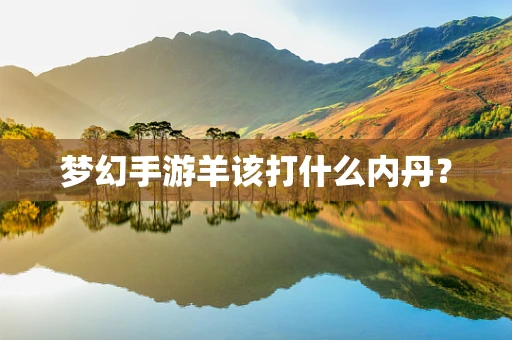 梦幻手游羊该打什么内丹？