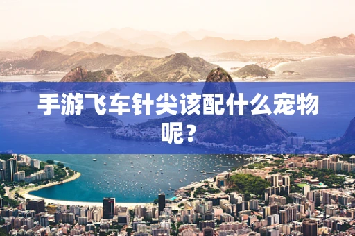 手游飞车针尖该配什么宠物呢？
