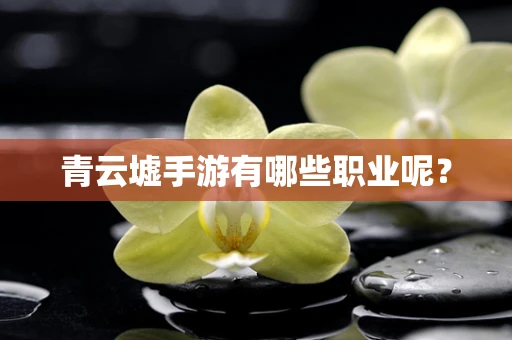 青云墟手游有哪些职业呢？