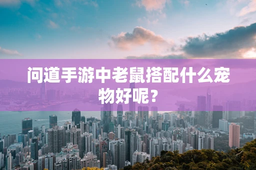 问道手游中老鼠搭配什么宠物好呢？