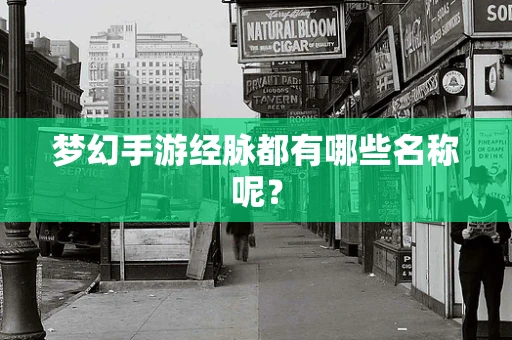 梦幻手游经脉都有哪些名称呢？