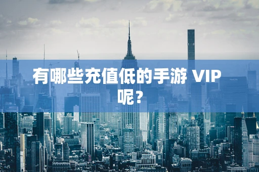有哪些充值低的手游 VIP 呢？