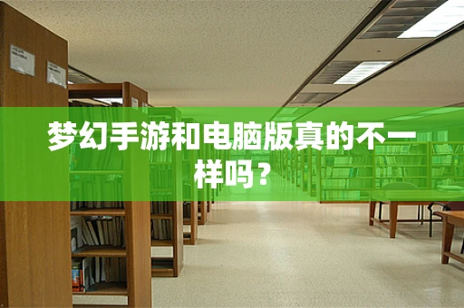 梦幻手游和电脑版真的不一样吗？