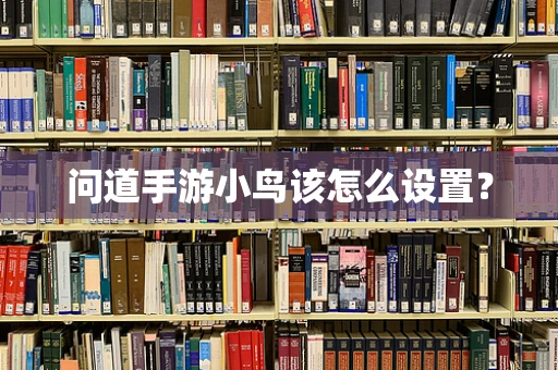 问道手游小鸟该怎么设置？