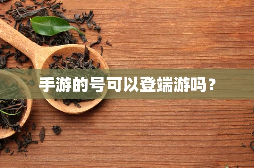 手游的号可以登端游吗？