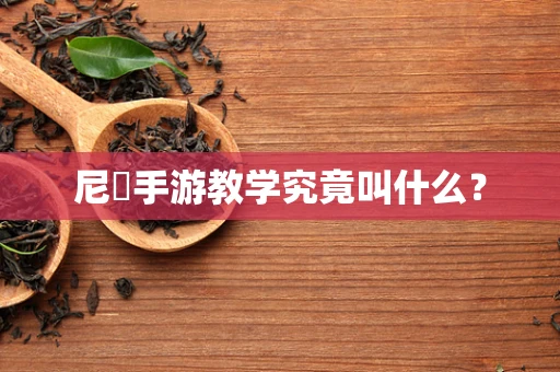 尼菈手游教学究竟叫什么？