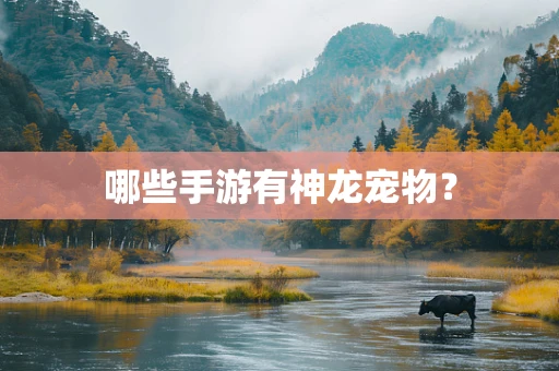 哪些手游有神龙宠物？