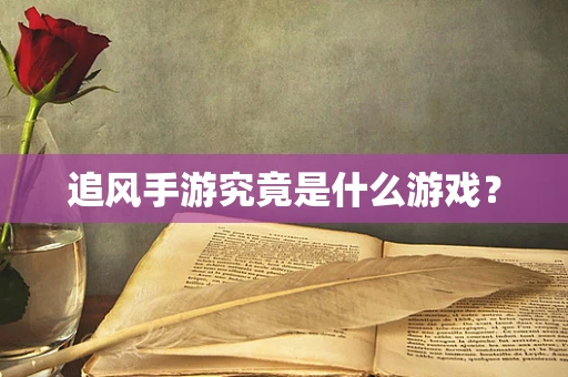 追风手游究竟是什么游戏？