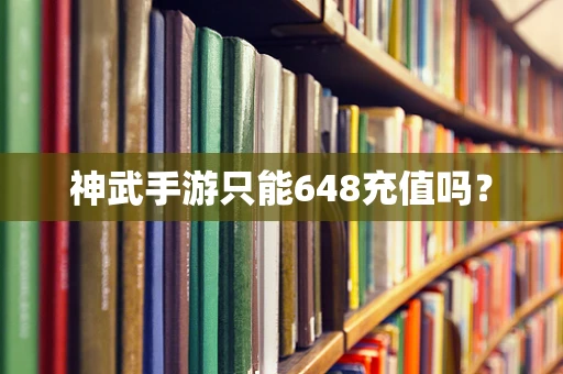 神武手游只能648充值吗？