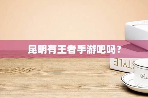 昆明有王者手游吧吗？