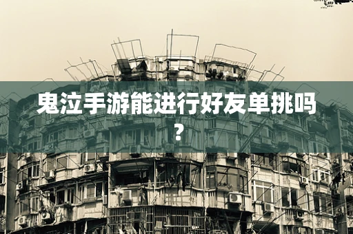 鬼泣手游能进行好友单挑吗？
