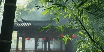 手游九阴轻功收费吗？