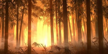 火影手游有在线客服吗？