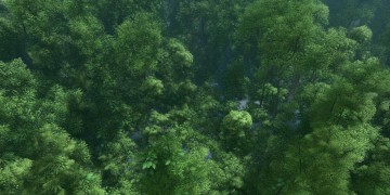 天龙手游峨眉该上什么抗？