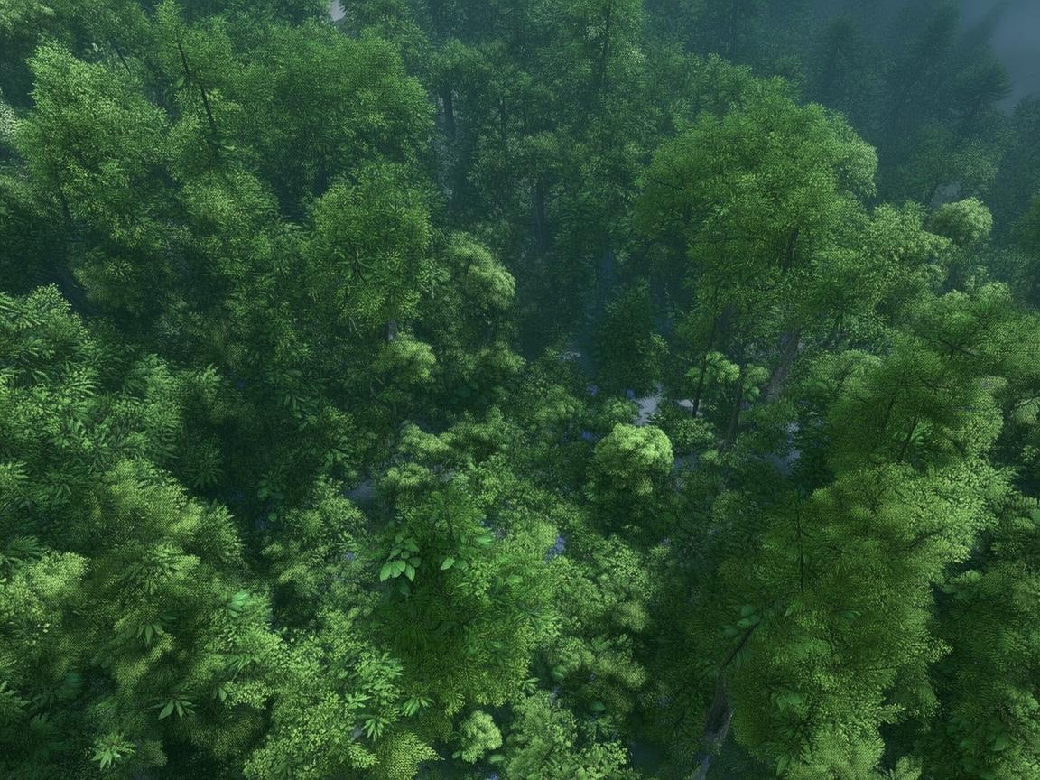 天龙手游峨眉该上什么抗？